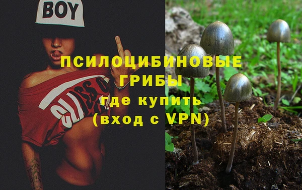 скорость mdpv Вяземский