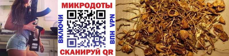 Псилоцибиновые грибы MAGIC MUSHROOMS  Купить где  Шенкурск 